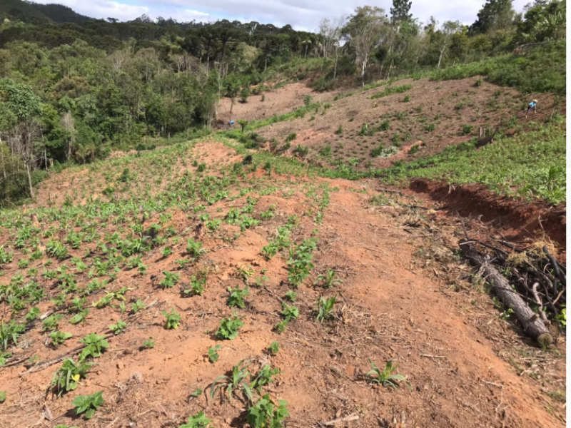 Terreno à venda Centro com 20000m² e 1 quarto por R$ 500.000 - 1011638165-terr4.PNG