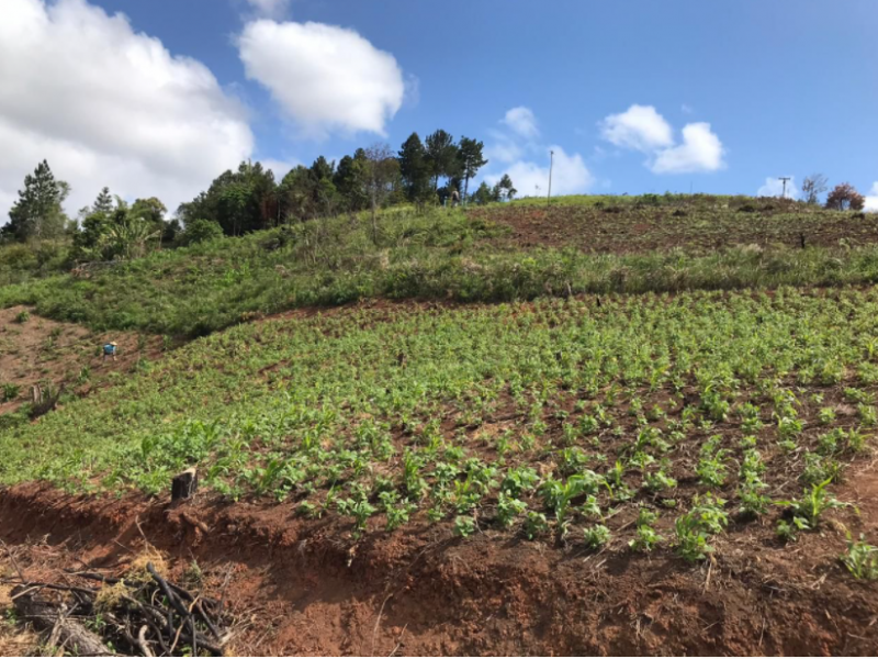 Terreno à venda Centro com 20000m² e 1 quarto por R$ 500.000 - 27992354-terr5.PNG