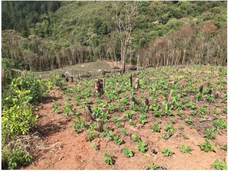 Terreno à venda Centro com 20000m² e 1 quarto por R$ 500.000 - 867291760-terr3.PNG