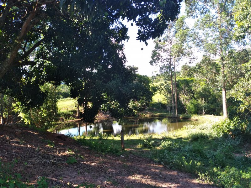 Chácara à venda Centro com 6480m² e 5 quartos por R$ 450.000 - 1739122007-20211209-154716.jpg