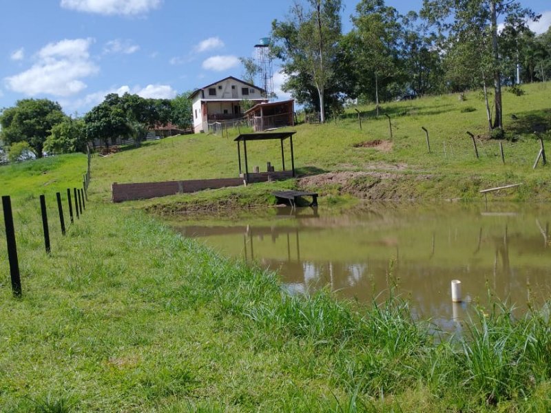 Chácara à venda Picada Francesa com 2500m² e 3 quartos por R$ 590.000 - 2034977737-img-20220117-wa0065.jpg