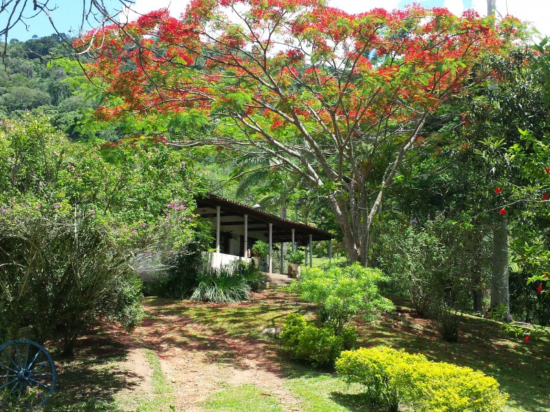 Sítio à venda Cambará com 24000m² e 4 quartos por R$ 1.150.000 - 982210710-500.jpg