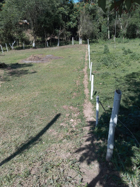 Terreno à venda Quirino com 584m² e 1 quarto por R$ 100.000 - 1000388113-img-20220810-wa0040.jpg