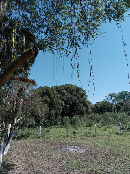 Terreno à venda Quirino com 584m² e 1 quarto por R$ 100.000 - 1217216840-img-20220810-wa0029.jpg