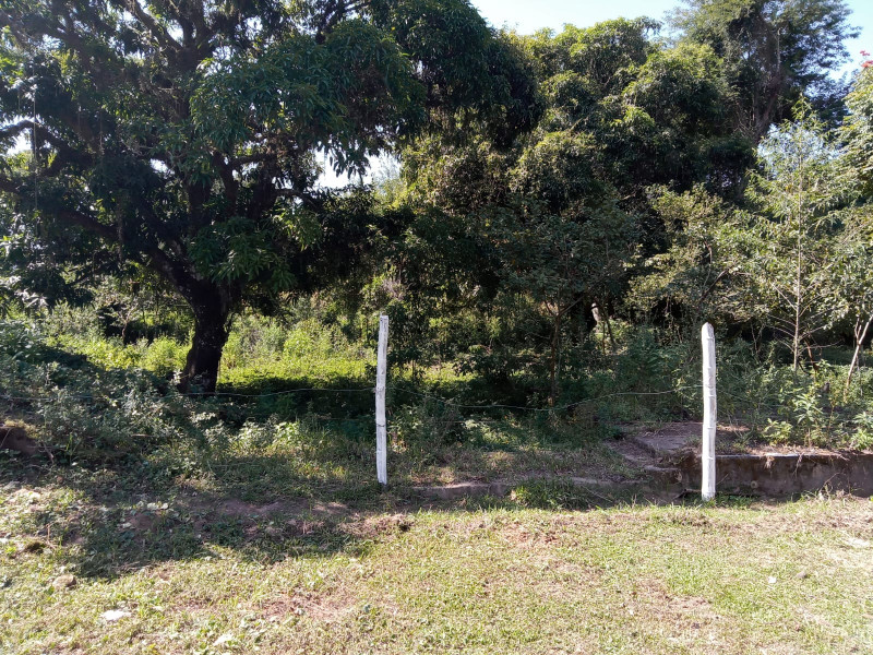 Terreno à venda Quirino com 584m² e 1 quarto por R$ 100.000 - 1775079175-img-20220810-wa0032.jpg