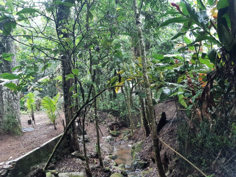 Terreno à venda Praia do Saco com 400m² e 1 quarto por R$ 140.000 - 1472444793-e43101d5-8947-4559-9fab-77725a49ff6a.JPG