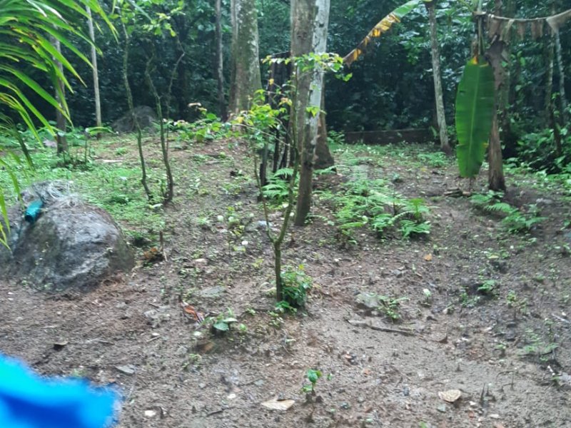 Terreno à venda Praia do Saco com 400m² e 1 quarto por R$ 140.000 - 596247305-a0f7fa39-b5bf-4c08-9374-8a20a343942d.JPG