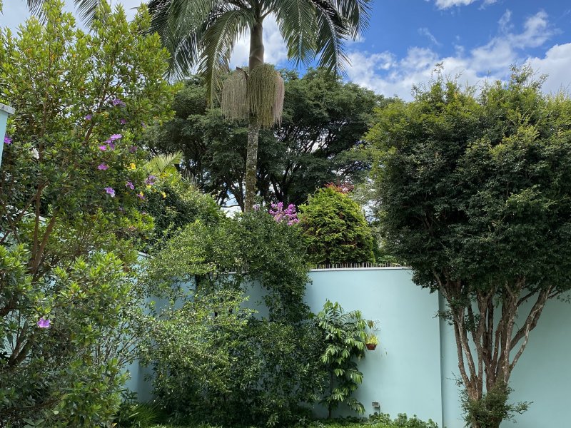 Casa à venda Santo Amaro com 450m² e 5 quartos por R$ 3.500.000 - 1771144776-0f856498-cc90-4d4e-82f6-9bcca4ac7815.jpeg