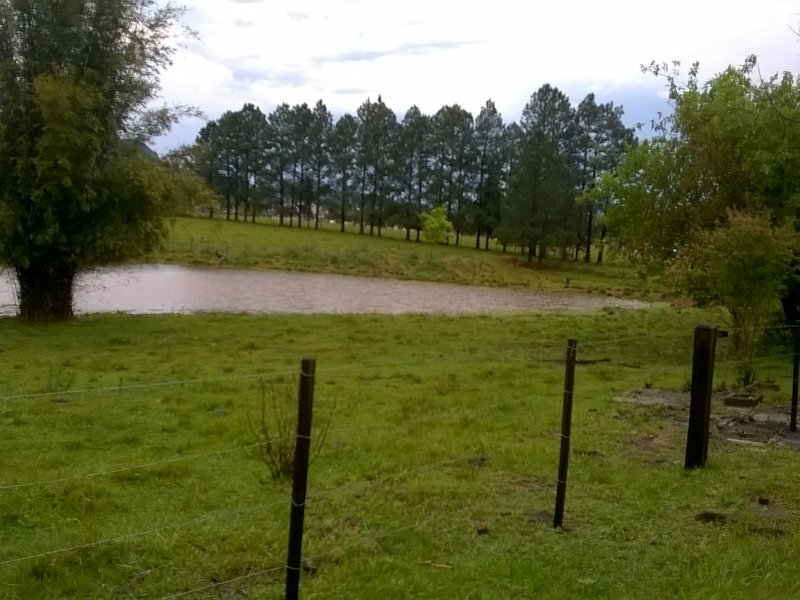 Terreno à venda Camobi com 37461m² e 1 quarto por R$ 10.000.000 - 512819456-wp-20150921-10-15-44-pro.jpg