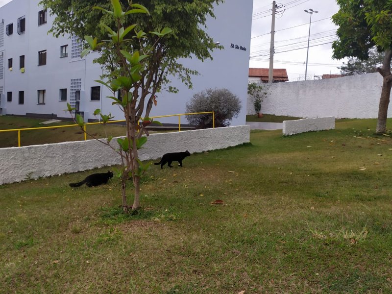 Apartamento à venda Vila Odim Antao com 55m² e 2 quartos por R$ 210.000 - 1427437465-img-20220101-wa0027.jpg