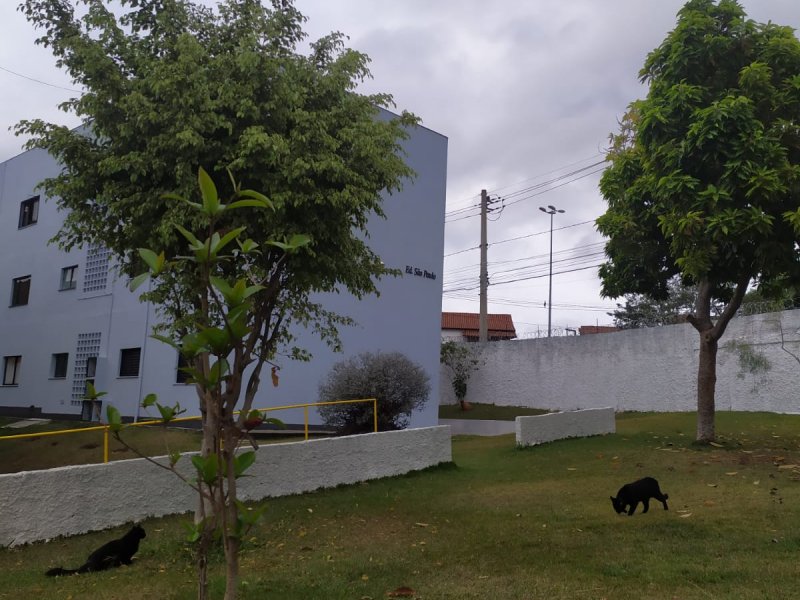 Apartamento à venda Vila Odim Antao com 55m² e 2 quartos por R$ 210.000 - 819799023-img-20220101-wa0026.jpg
