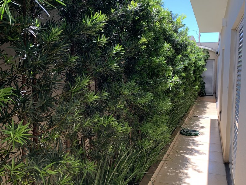 Casa de condomínio à venda Parque Res. Damha com 260m² e 3 quartos por R$ 1.600.000 - 1189447586-ea7a69df-52b8-499f-ab4a-c01a9fc6f49c.jpeg