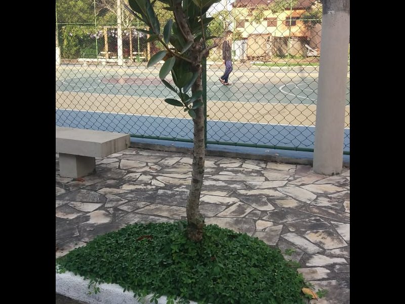Casa à venda Praia da Ribeira (Cunhambebe) com 90m² e 2 quartos por R$ 280.000 - 838921606-img-20210322-wa0050.jpg