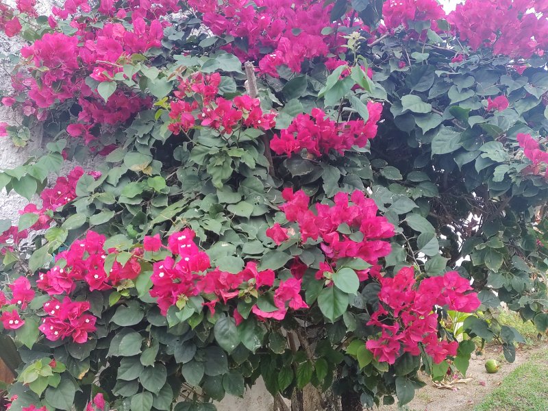 Casa de condomínio à venda Buraquinho com 135m² e 4 quartos por R$ 650.000 - 1468951142-img-20210930-131645440.jpg