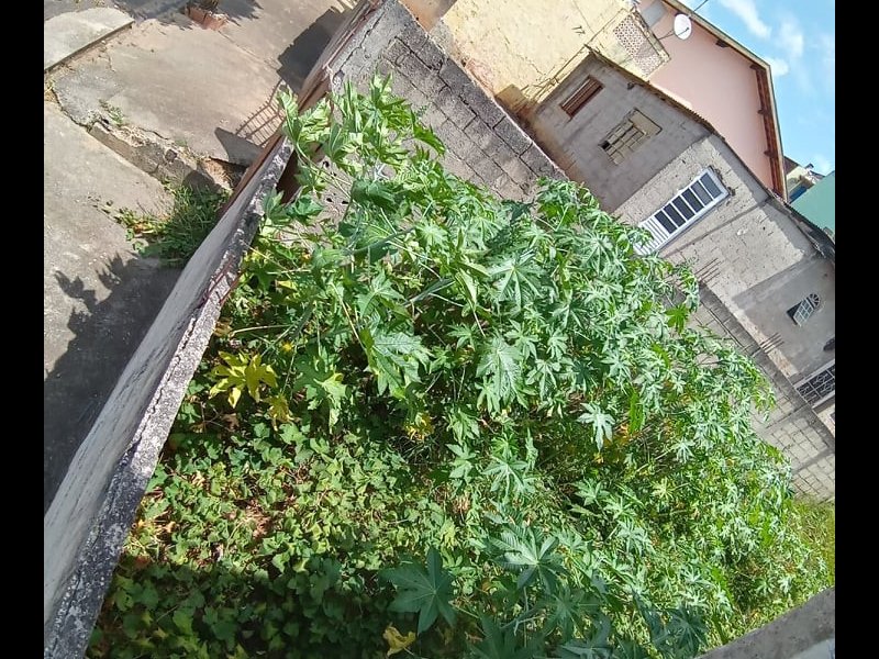 Casa à venda Jardim Paraíso com 93m² e 2 quartos por R$ 300.000 - 622730098-272215187-3215327962036657-7028295994437331489-n.jpg