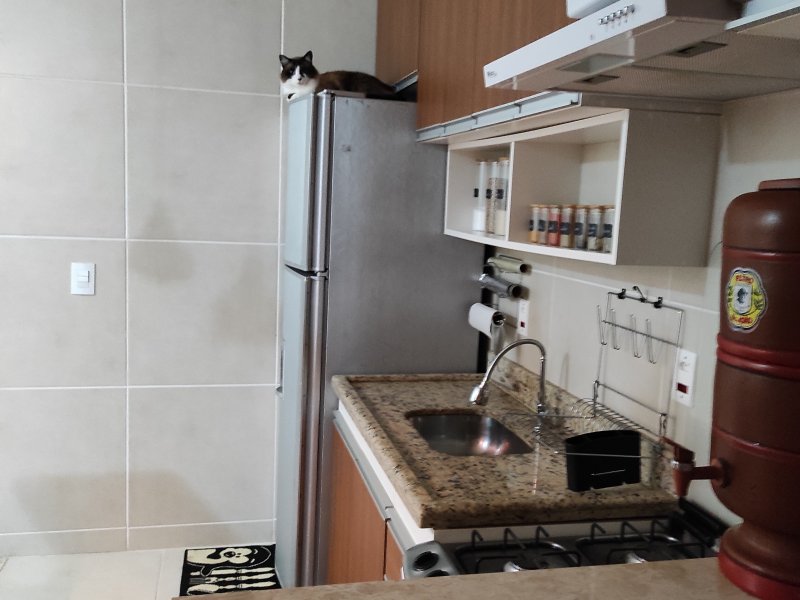 Apartamento à venda Oásis com 50m² e 2 quartos por R$ 235.000 - 2031309809-img-20220111-212200.jpg