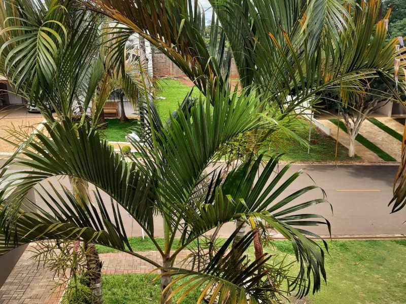 Casa de condomínio à venda Jardim Planalto com 300m² e 4 quartos por R$ 820.000 - 374923054-whatsapp-image-2022-01-18-at-17.jpeg