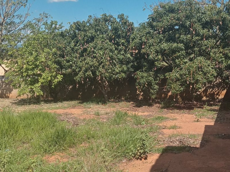 Chácara à venda Sete Barras com 126m² e 3 quartos por R$ 500 - 1265285830-inbound5205041330607806823.jpg