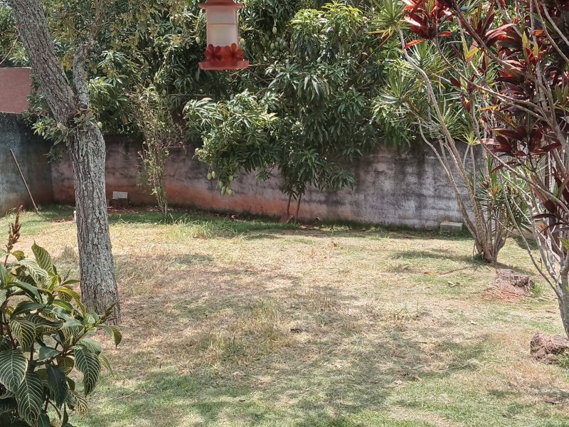 Chácara à venda Sete Barras com 126m² e 3 quartos por R$ 500 - 304214829-inbound7186087889658336754.jpg