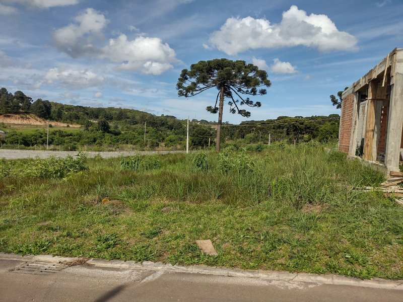Terreno à venda Paloma com 200m² e 1 quarto por R$ 35.000 - 113605305-img-20211103-wa0058.jpg