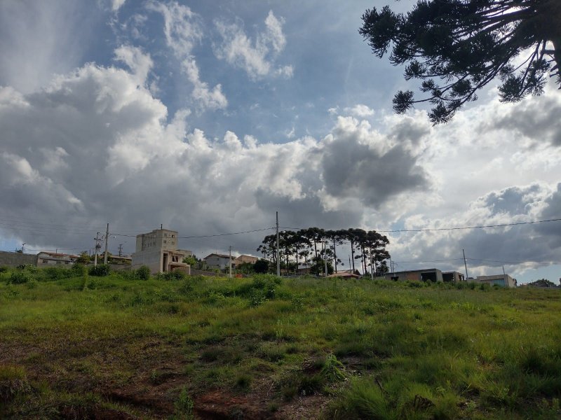 Terreno à venda Paloma com 200m² e 1 quarto por R$ 35.000 - 138372062-img-20211103-wa0056.jpg