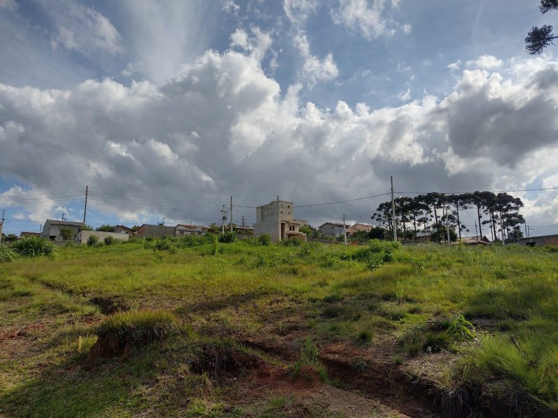 Terreno à venda Paloma com 200m² e 1 quarto por R$ 35.000 - 2075409577-img-20211103-wa0073.jpg