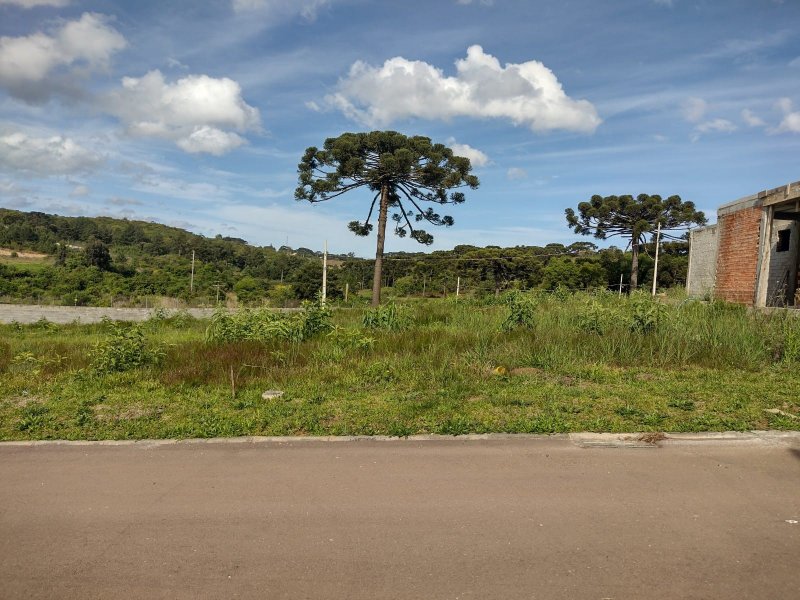Terreno à venda Paloma com 200m² e 1 quarto por R$ 35.000 - 395862997-img-20211103-wa0065.jpg