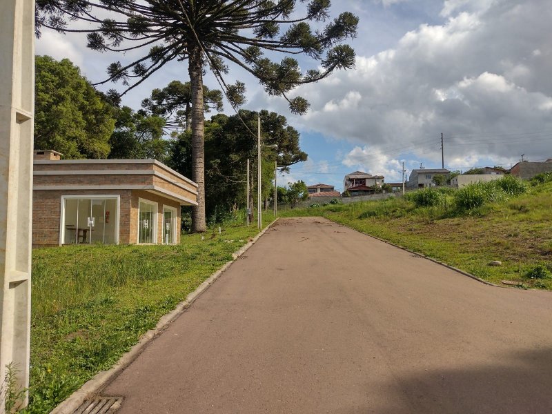 Terreno à venda Paloma com 200m² e 1 quarto por R$ 35.000 - 753920441-img-20211103-wa0072.jpg