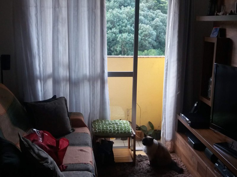 Apartamento à venda Jardim Santa Terezinha (Zona Leste) com 68m² e 3 quartos por R$ 250.000 - 814426290-20190811-083730.jpg