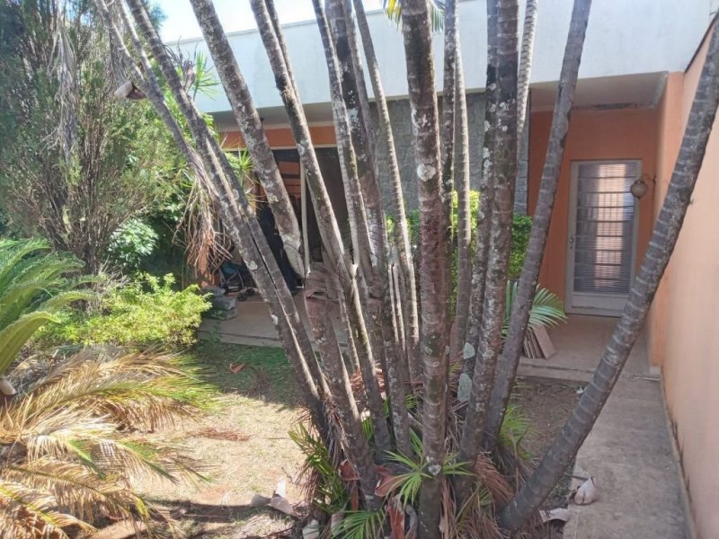 Casa à venda Centro com 282m² e 3 quartos por R$ 900.000 - 865712099-009231cd-7a82-4fce-bedf-f1bcf03e81a4-image.jpg