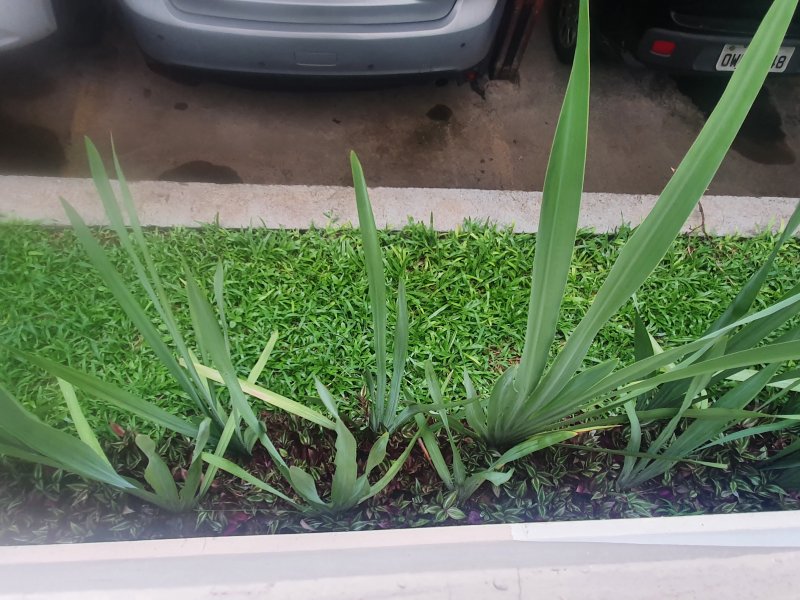 Apartamento para alugar Piratininga com 55m² e 2 quartos por R$ 1.800 - 782713837-20220201-173716.jpg