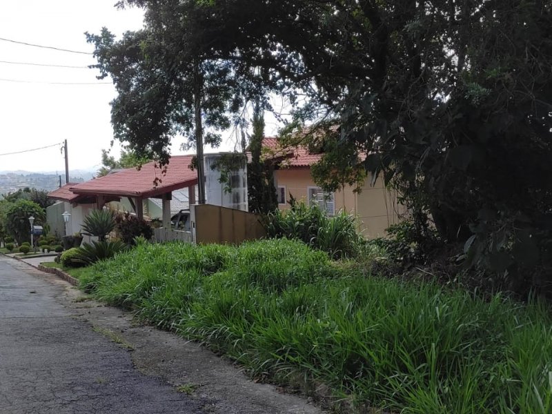 Terreno à venda Alpes de Caieiras com 1280m² e 1 quarto por R$ 450.000 - 1062255784-whatsapp-image-2022-02-02-at-08.jpeg