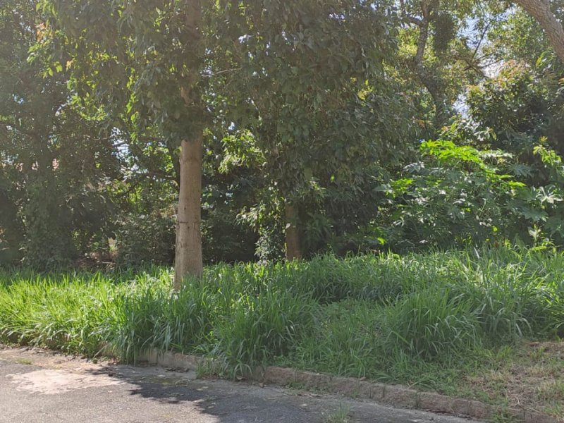 Terreno à venda Alpes de Caieiras com 1280m² e 1 quarto por R$ 450.000 - 2020097149-whatsapp-image-2022-02-02-at-08.jpeg
