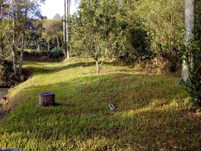 Chácara à venda Pilar Velho com 40m² e 1 quarto por R$ 350.000 - 1213970357-whatsapp-image-2022-02-02-at-15.jpeg