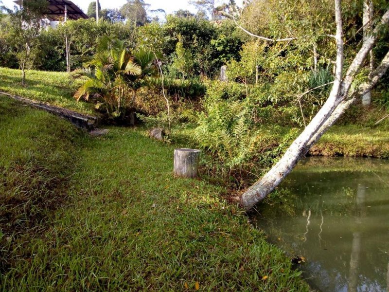 Chácara à venda Pilar Velho com 40m² e 1 quarto por R$ 350.000 - 1504269506-whatsapp-image-2022-02-02-at-15.jpeg