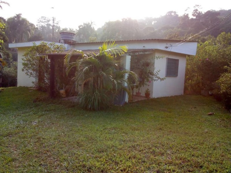Chácara à venda Pilar Velho com 40m² e 1 quarto por R$ 350.000 - 1574447304-whatsapp-image-2022-02-02-at-15.jpeg