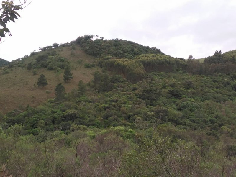 Sítio à venda Centro com 20000m² e 1 quarto por R$ 300.000 - 1095719711-whatsapp-image-2021-11-24-at-14.jpeg