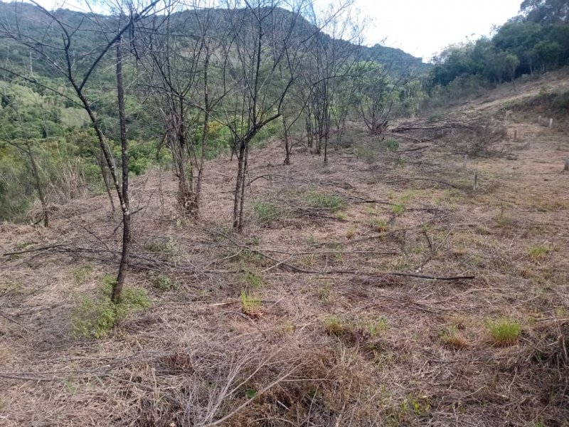 Sítio à venda Centro com 20000m² e 1 quarto por R$ 300.000 - 1745216134-whatsapp-image-2021-11-12-at-16.jpeg