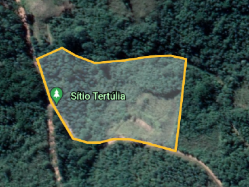 Sítio à venda Centro com 20000m² e 1 quarto por R$ 300.000 - 2015134212-captura-de-tela-2021-10-11-103311.png