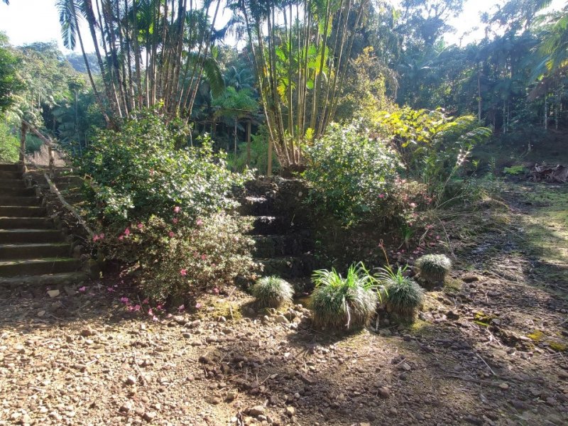 Sítio à venda Pirabeiraba com 18m² e 3 quartos por R$ 850.000 - 1035736329-whatsapp-image-2022-02-03-at-20.jpeg