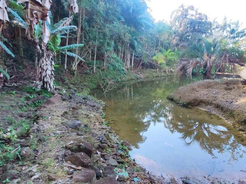 Sítio à venda Pirabeiraba com 18m² e 3 quartos por R$ 850.000 - 1407791845-whatsapp-image-2022-02-03-at-20.jpeg