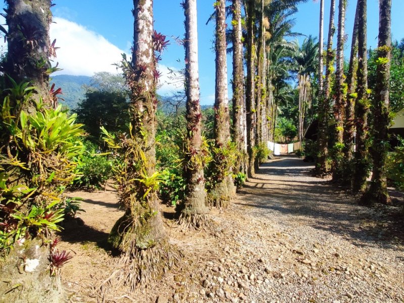 Sítio à venda Pirabeiraba com 18m² e 3 quartos por R$ 850.000 - 2034992521-whatsapp-image-2022-02-03-at-20.jpeg