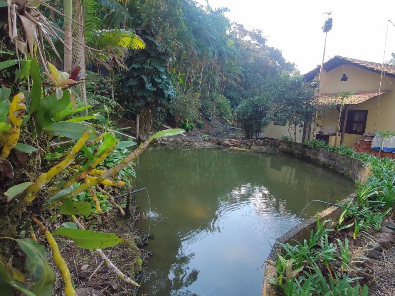 Sítio à venda Pirabeiraba com 18m² e 3 quartos por R$ 850.000 - 429945381-whatsapp-image-2022-02-03-at-20.jpeg
