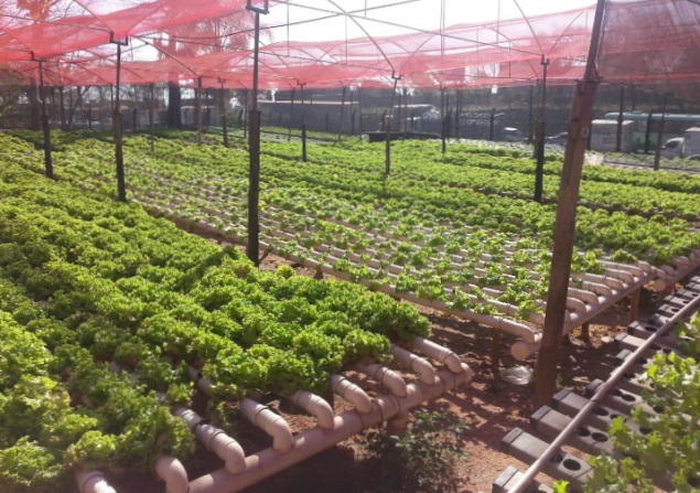 imóvel com 1800m²