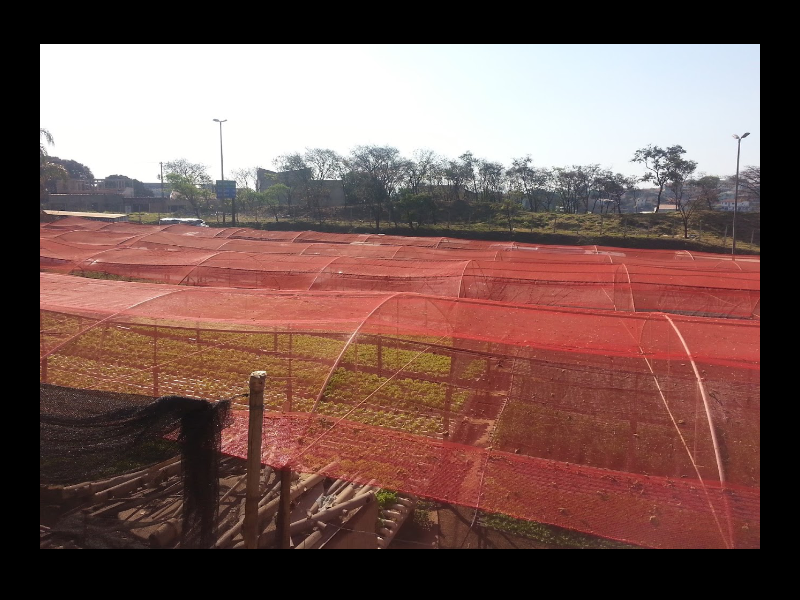 Terreno à venda Maria Virgínia com 1800m² e 1 quarto por R$ 800.000 - 1960859458-screenshot-20210126-1146012.png