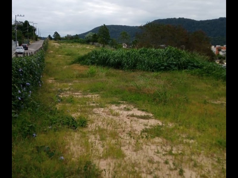 Terreno à venda Rio Tavares Central com 6000m² e 1 quarto por R$ 7.000.000 - 27060991-157599e9-3b37-43ec-8b74-e7fbdd535d0b.jpeg