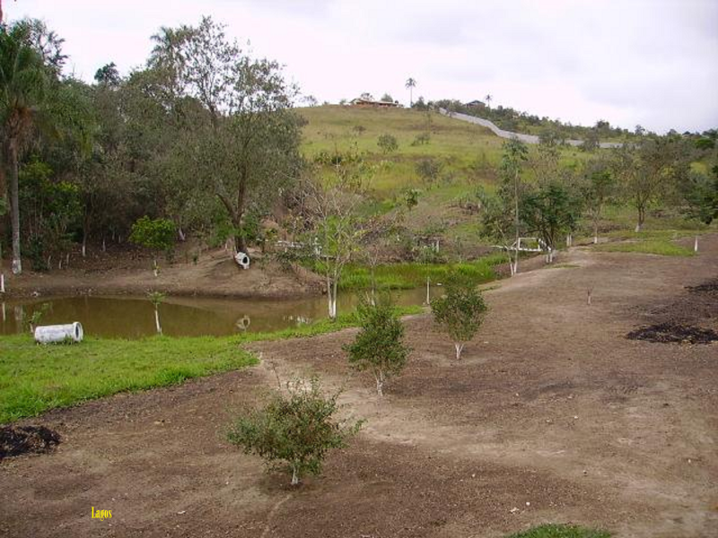 Sítio à venda Veraneio iraja com 40000m² e 10 quartos por R$ 3.000.000 - 1569508963-38-lagos1.png