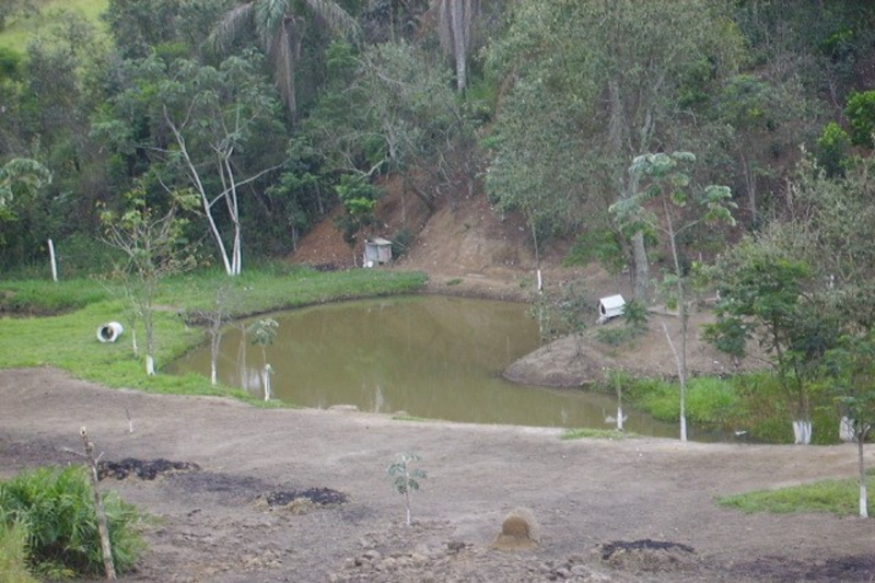 Sítio à venda Veraneio iraja com 40000m² e 10 quartos por R$ 3.000.000 - 2040058224-38-lagos3.png