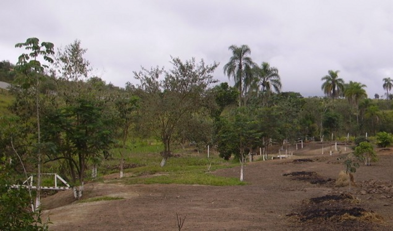 Sítio à venda Veraneio iraja com 40000m² e 10 quartos por R$ 3.000.000 - 974902772-38-lagos2.png