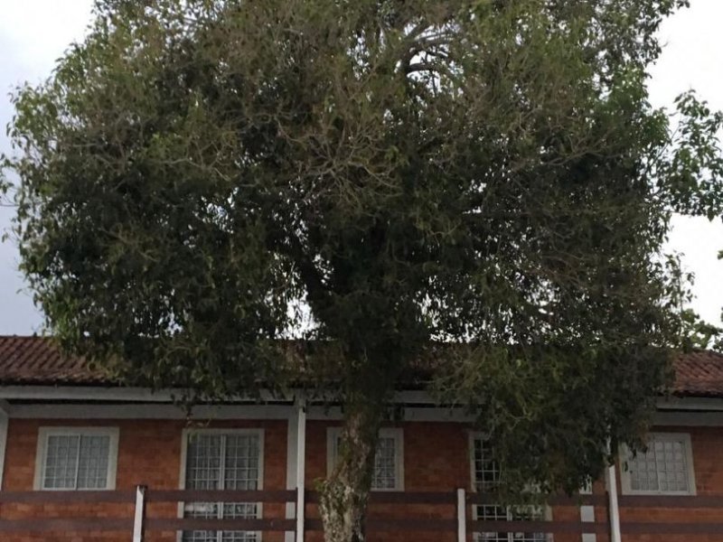 Casa à venda Pontal do Sul com 1080m² e 5 quartos por R$ 1.000.000 - 772476991-b01a8292-6c50-46f2-bef2-f0865a06fb8e.jpg